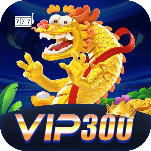 vip300 Logo